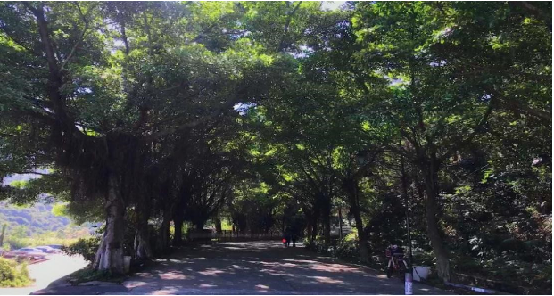 1578567721.png image.png